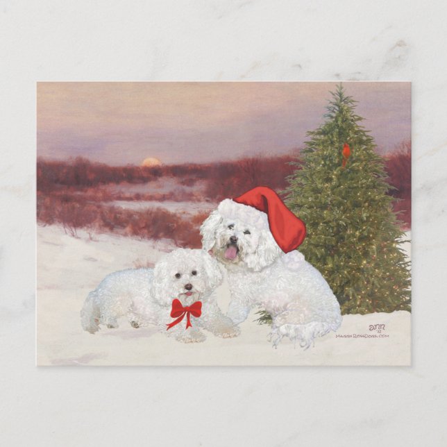 Bichon Frise Christmas Feiertagspostkarte (Vorderseite)