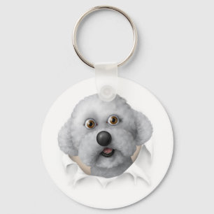 Bichon Frise, der heraus sprengt Schlüsselanhänger