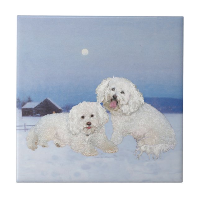 Bichon Frise Dezember Abend Fliese (Vorderseite)