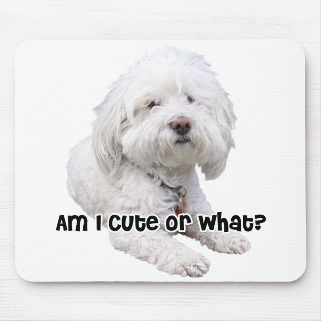 Bichon Frise Dog Mousepad (Vorne)