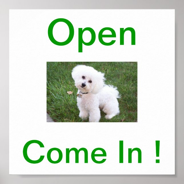 Bichon Frise Dog Open Sign Poster (Vorne)