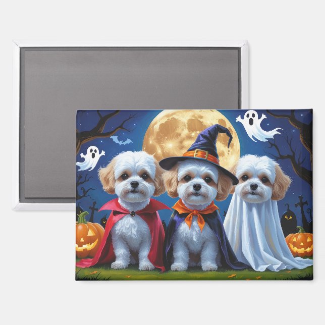 Bichon Frise Dogs Pumpkin Halloween Funny Magnet (Vorderseite/Rückseite)