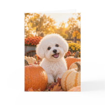 Bichon Frise Erntedankfest Karte