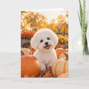 Bichon Frise Erntedankfest Karte