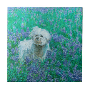 Bichon Frise Fliese