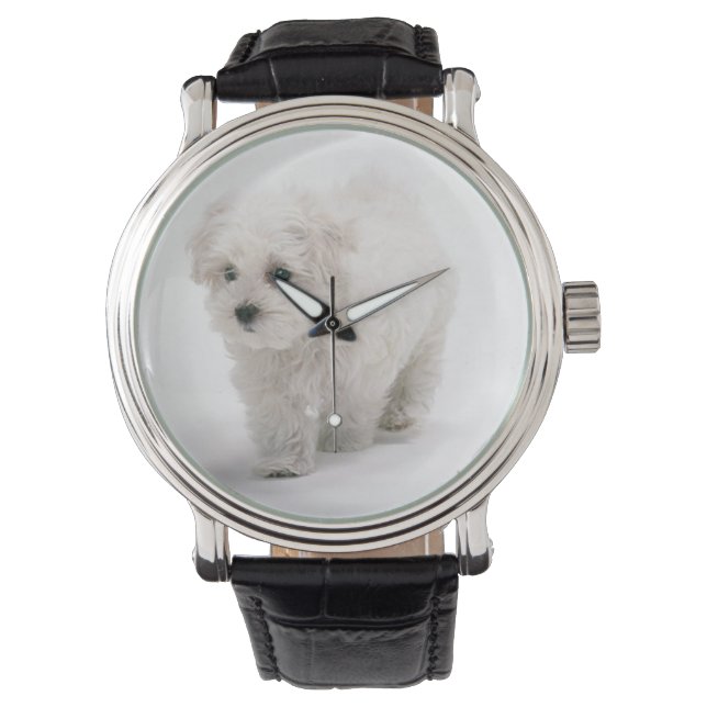 Bichon Frise Foto Armbanduhr (Vorderseite)