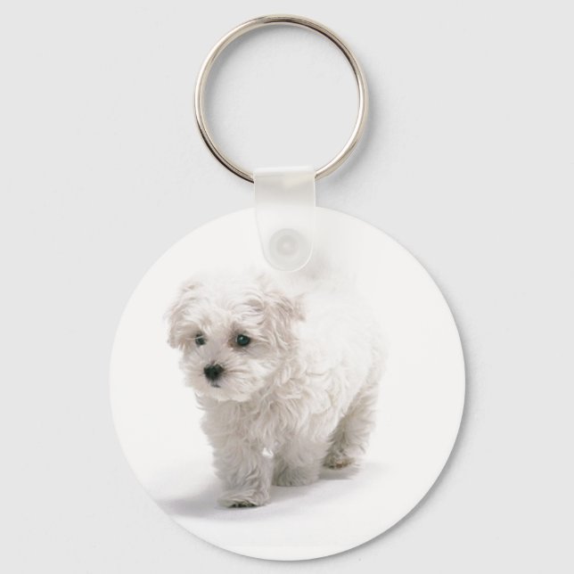 Bichon Frise Foto Schlüsselanhänger (Vorderseite)