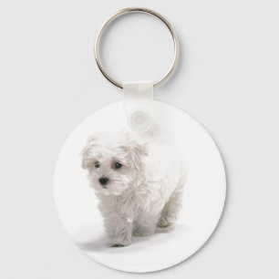 Bichon Frise Foto-Schlüsselanhänger Schlüsselanhänger