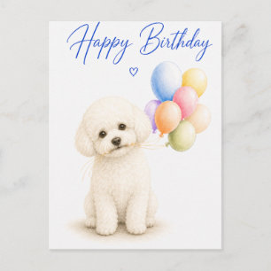 Bichon Frise Geburtstag Postkarte