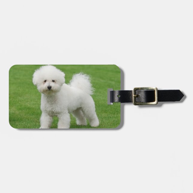 Bichon Frise Gepäckanhänger (Vorderseite horizontal)