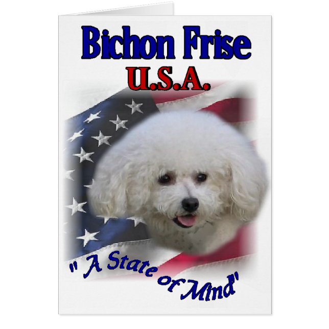 Bichon Frise Gifts (Vorne)