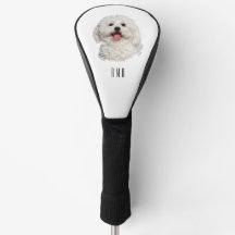 Bichon Frise