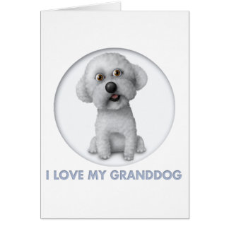 Bichon Frise Grand-chien