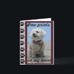 Bichon Frise Gruß-Karte Karte<br><div class="desc">Diese Karte gehört zu den vielen anderen Bichon Tatzendrucken</div>