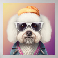 Bichon Frise Hipster Doster