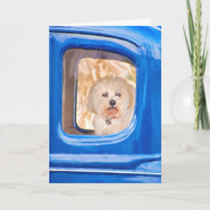 Bichon Frise-Hund in altem blauen Auto, an den ich Karte
