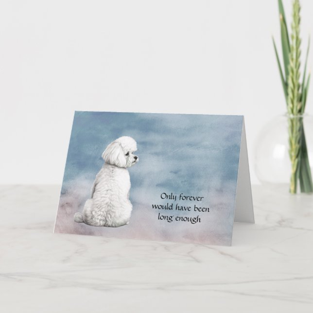Bichon Frise Hund Loss Sympathie Karte (Vorderseite)