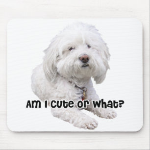 Bichon Frise Hund Mousepad
