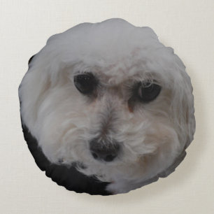 Bichon Frise Hund Rundes Kissen