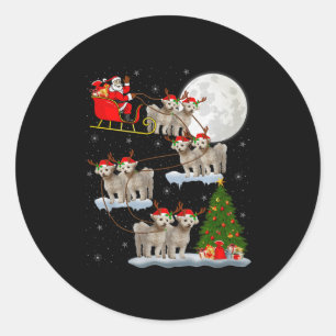 Bichon Frise Hund Santa Schlitten Fliegend Lustig  Runder Aufkleber