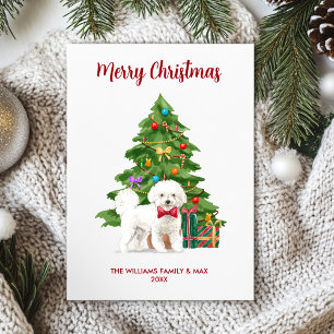 Bichon Frise Hunde-Familien-Weihnachten Feiertagskarte