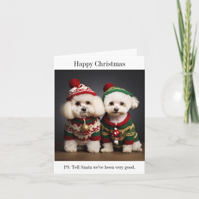 Bichon Frise Hunde Weihnachtskarte Karte (Vorderseite)