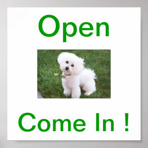 Bichon Frise Hundeoffenes Zeichen Poster