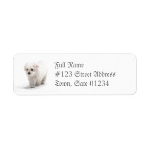 Bichon Frise HundePostsendung-Aufkleber