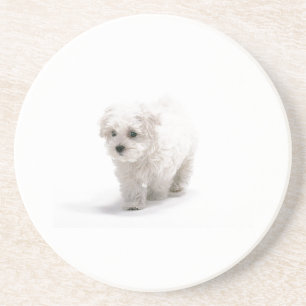 Bichon Frise HundeUntersetzer Sandstein Untersetzer