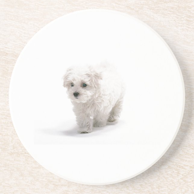 Bichon Frise HundeUntersetzer Sandstein Untersetzer (Vorne)