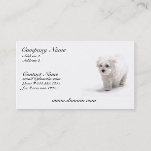 Bichon Frise HundeVisitenkarte Visitenkarte