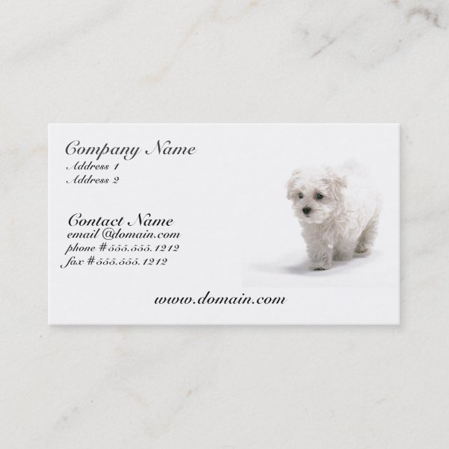 Bichon Frise HundeVisitenkarte Visitenkarte (Vorderseite)