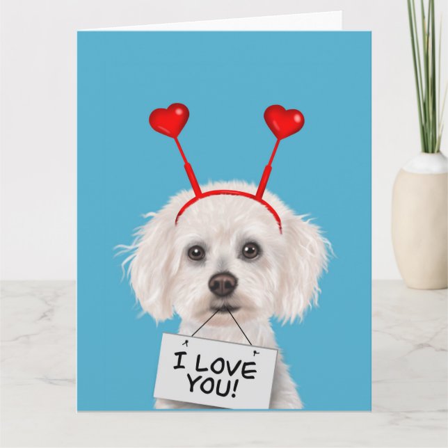 Bichon Frise "I Liebe You" Valentines Karte (Vorderseite)