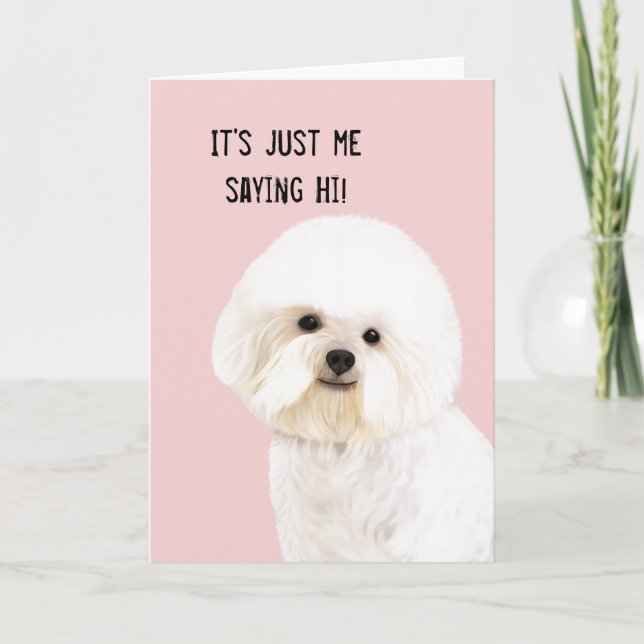 Bichon Frise illustrierte Gruß-Karte Karte (Vorderseite)
