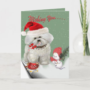 Bichon Frise Joyeuses Cartes de Noël