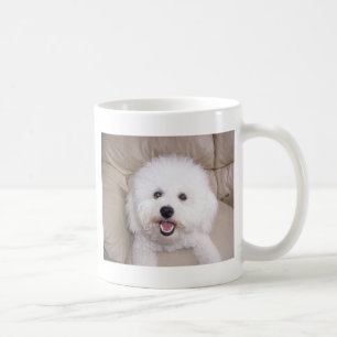 Bichon Frise Kaffeetasse