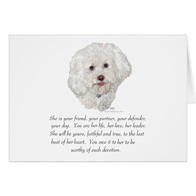 Bichon Frise Keepake FEMALE (Vorderseite (Horizontal))