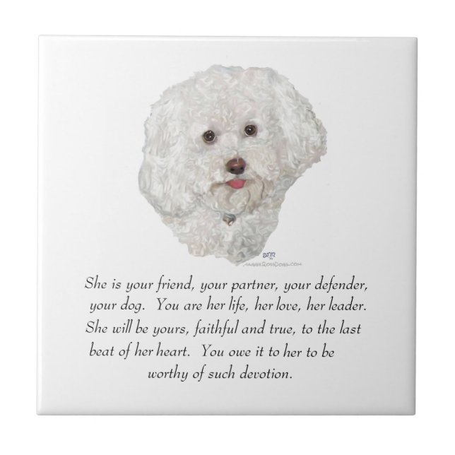 Bichon Frise Keepake FEMALE Fliese (Vorderseite)