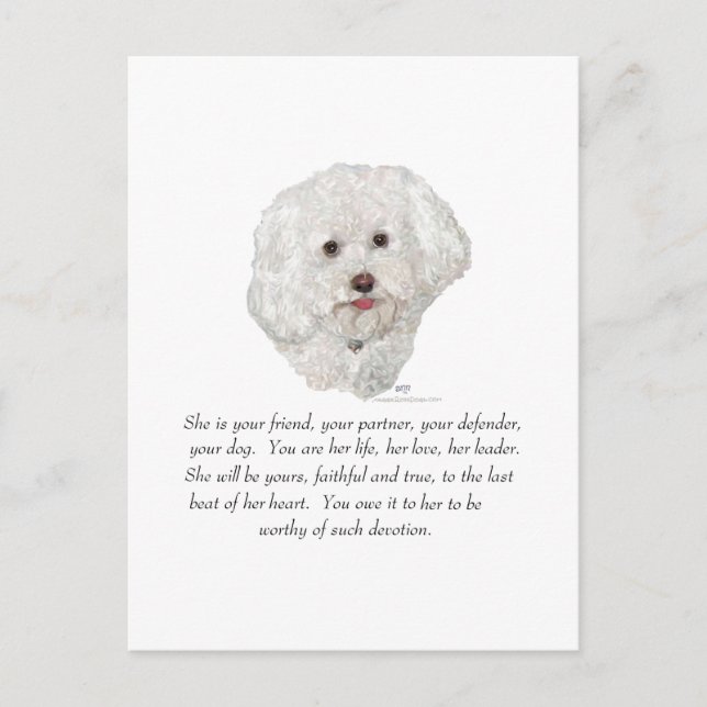 Bichon Frise Keepake FEMALE Postkarte (Vorderseite)