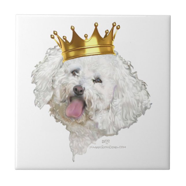 Bichon Frise King Fliese (Vorderseite)