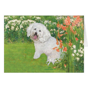 Bichon Frise Korallen-Fantasie