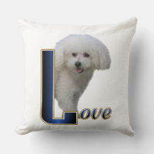 Bichon Frise Liebe
