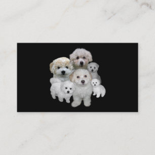 Bichon Frise Liebhaber-Visitenkarte Visitenkarte