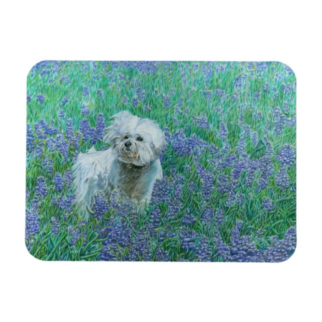 Bichon Frise Magnet (Horizontal)