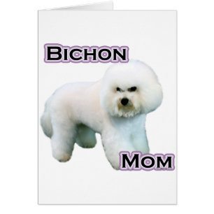 Bichon Frise Mama 4