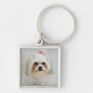 bichon frise mit einem rosa Bogen in ihm ist Haar Schlüsselanhänger