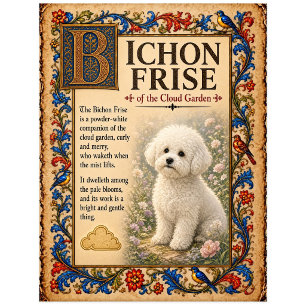 Bichon Frise, mittelalterliche Bestiarien-Kunst Postkarte