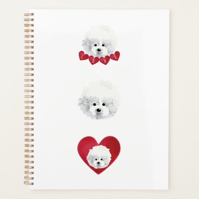 Bichon Frise _ mix _ Planer (Vorderseite)