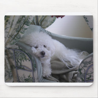 BICHON FRISE MOUSEPAD