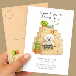Bichon Frise Neue Haus Umzug Ankündigung Postkarte